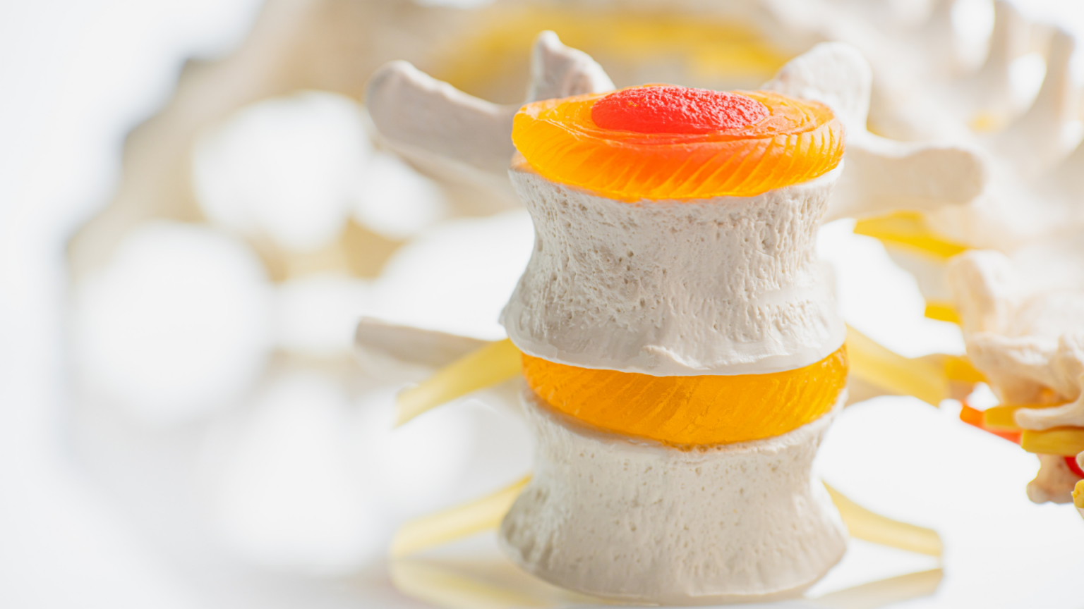 How to Treat Degenerative Disc Disease Progressive Pain Management